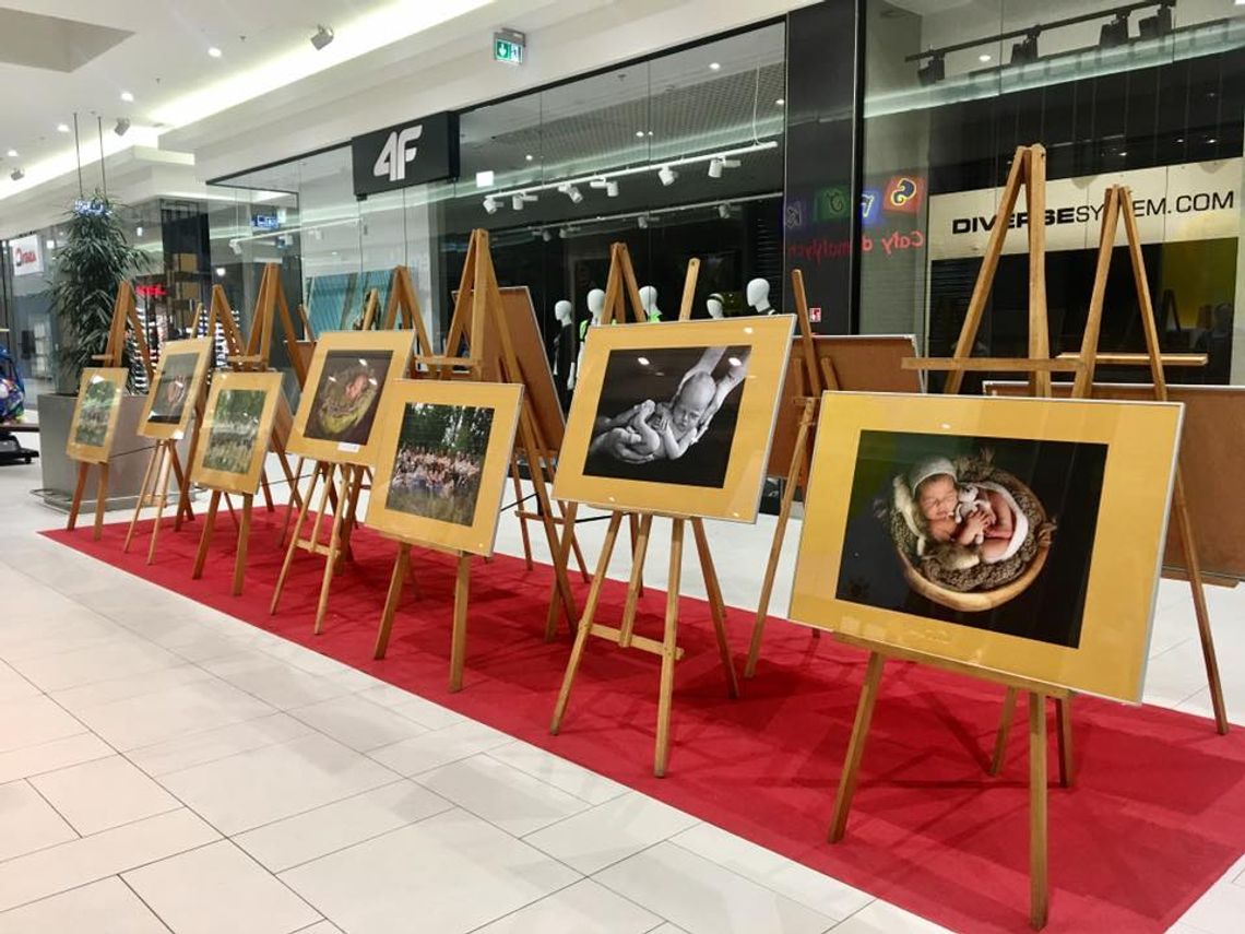 "Kraina mlekiem i miłością płynąca"