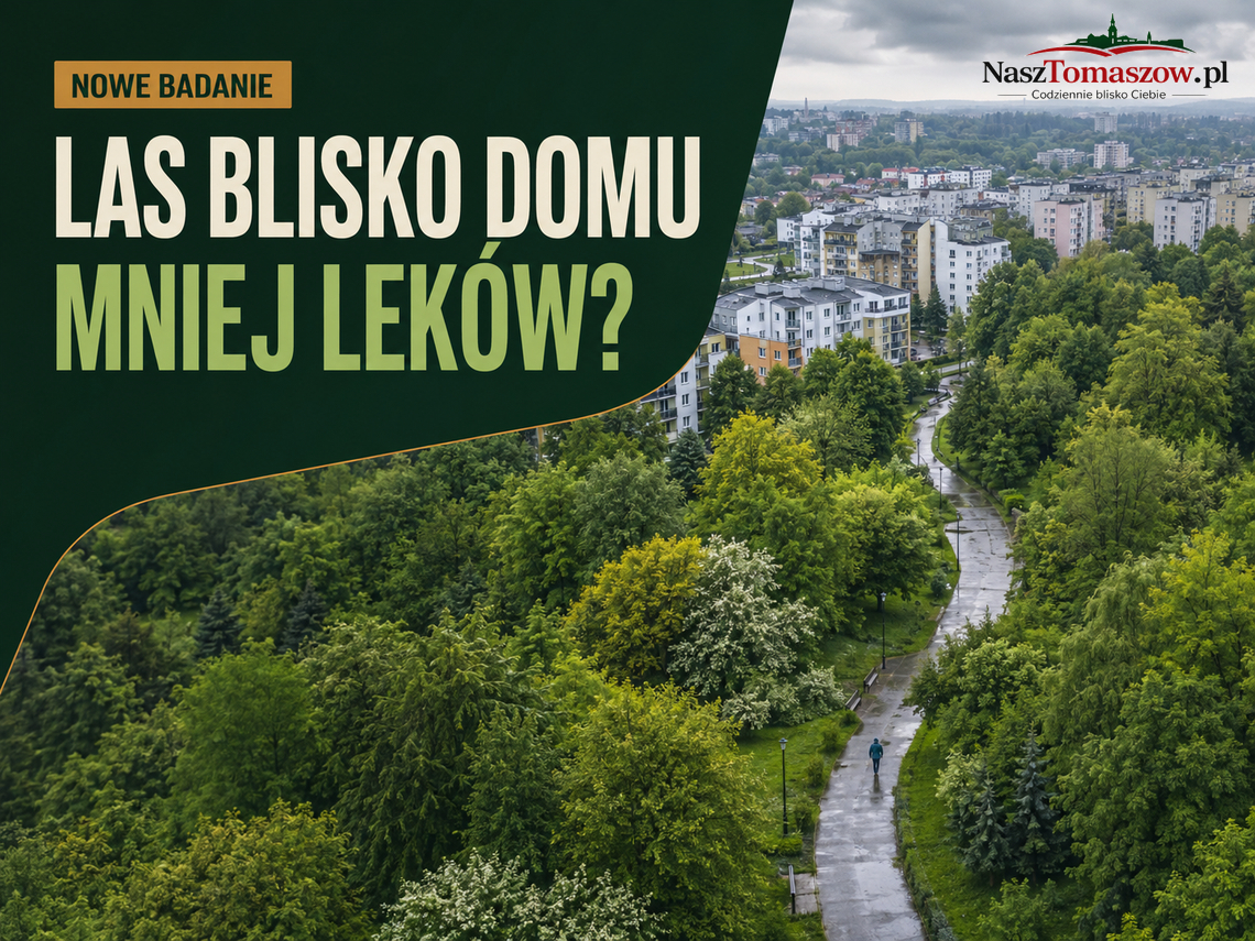 Las dziesięć minut od domu. Badanie: mniej recept na leki przeciwdepresyjne