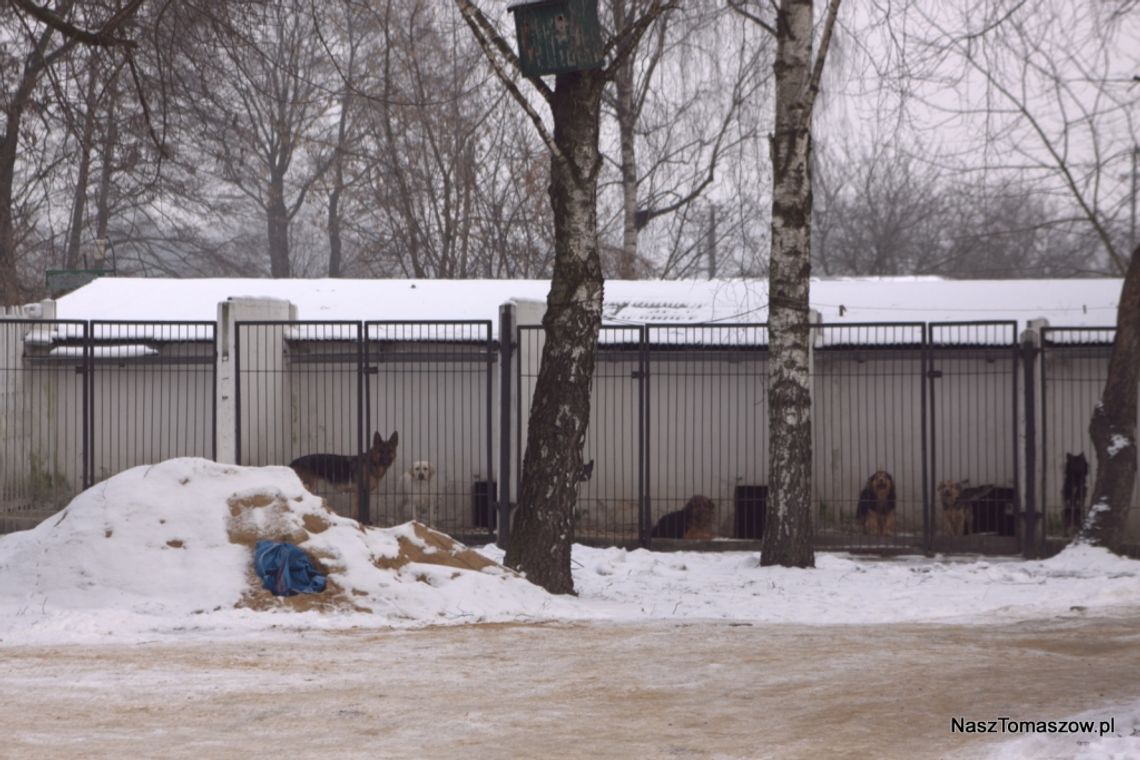 „Marsz milczenia” – a wszyscy stali i gadali.