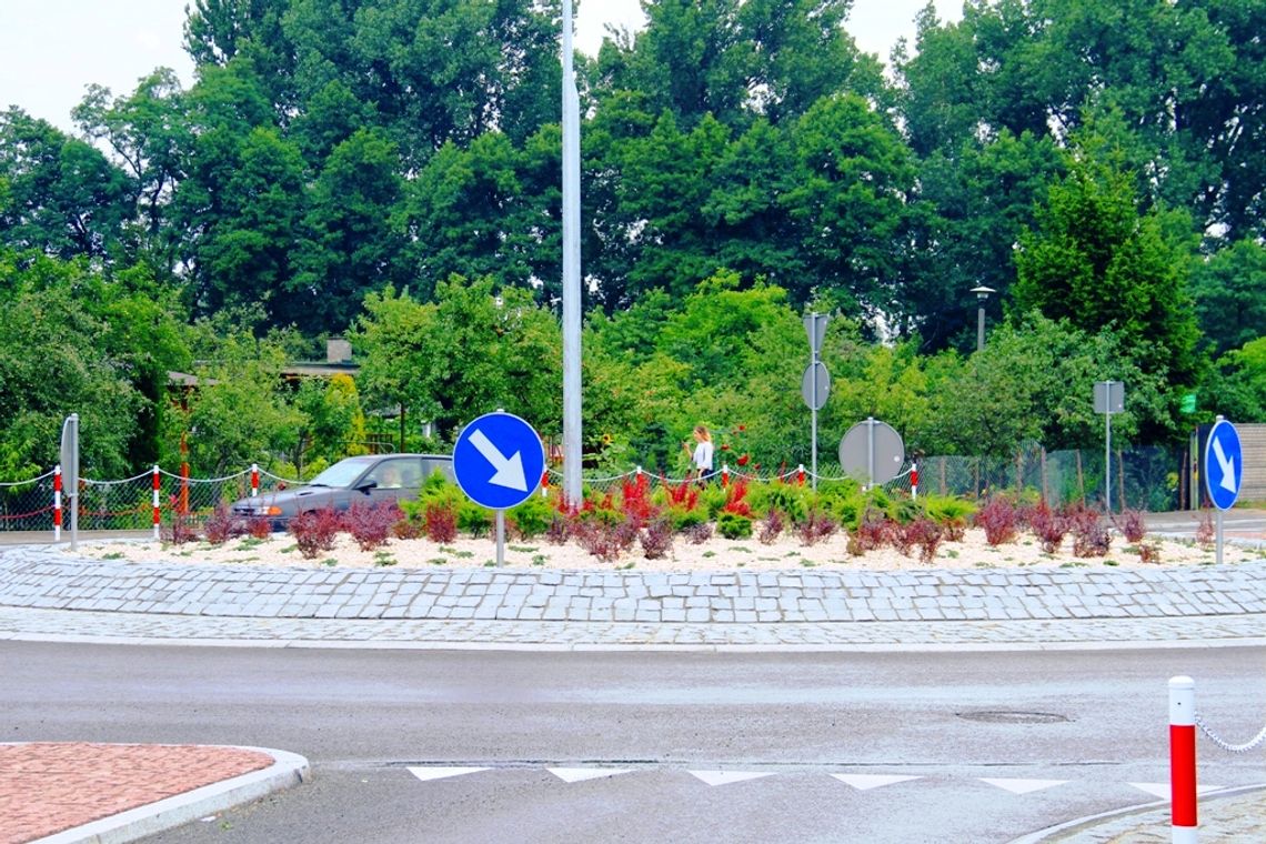 Miasto zadba o utrzymanie zieleni na powiatowych rondach
