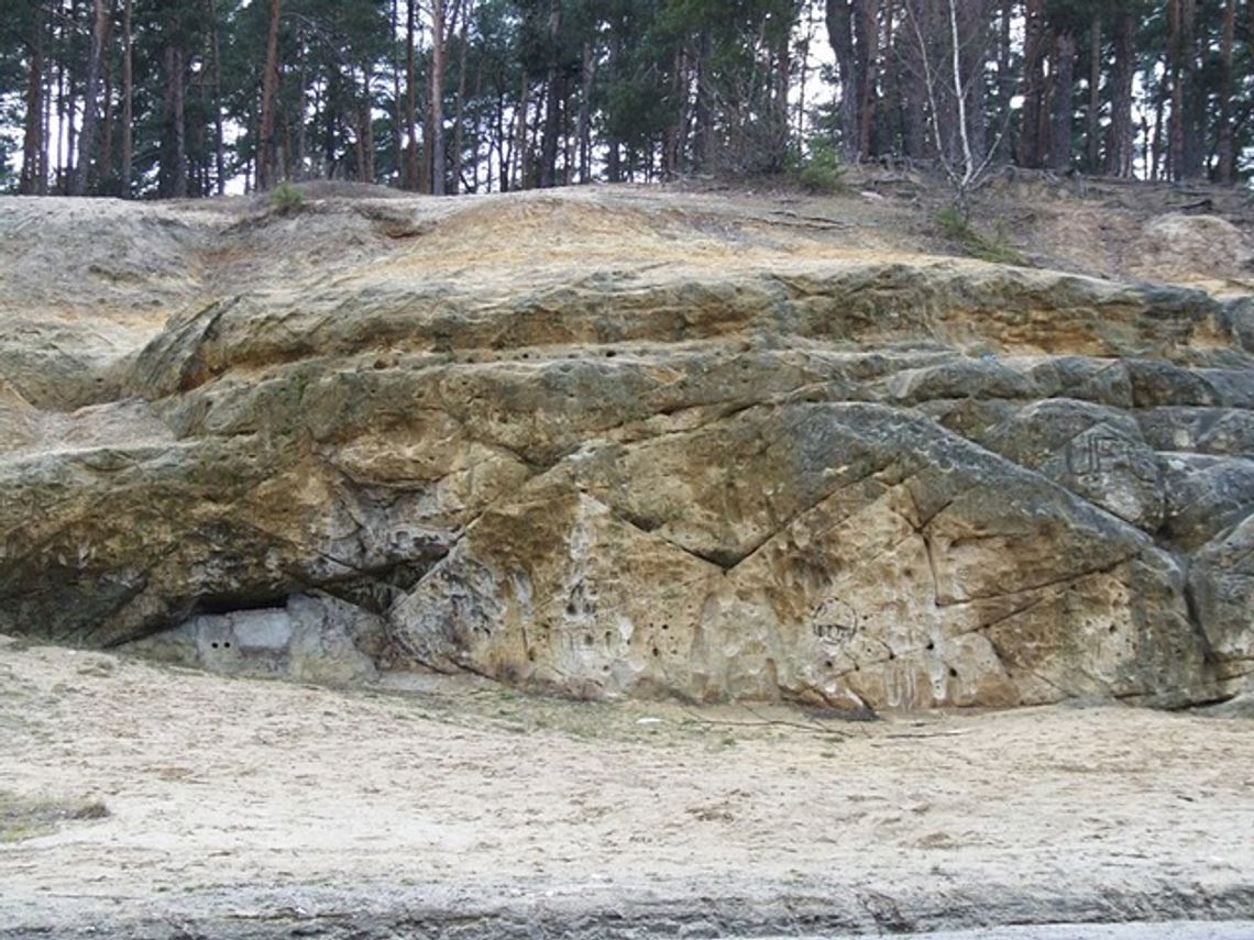 Mimo wszystko uratują