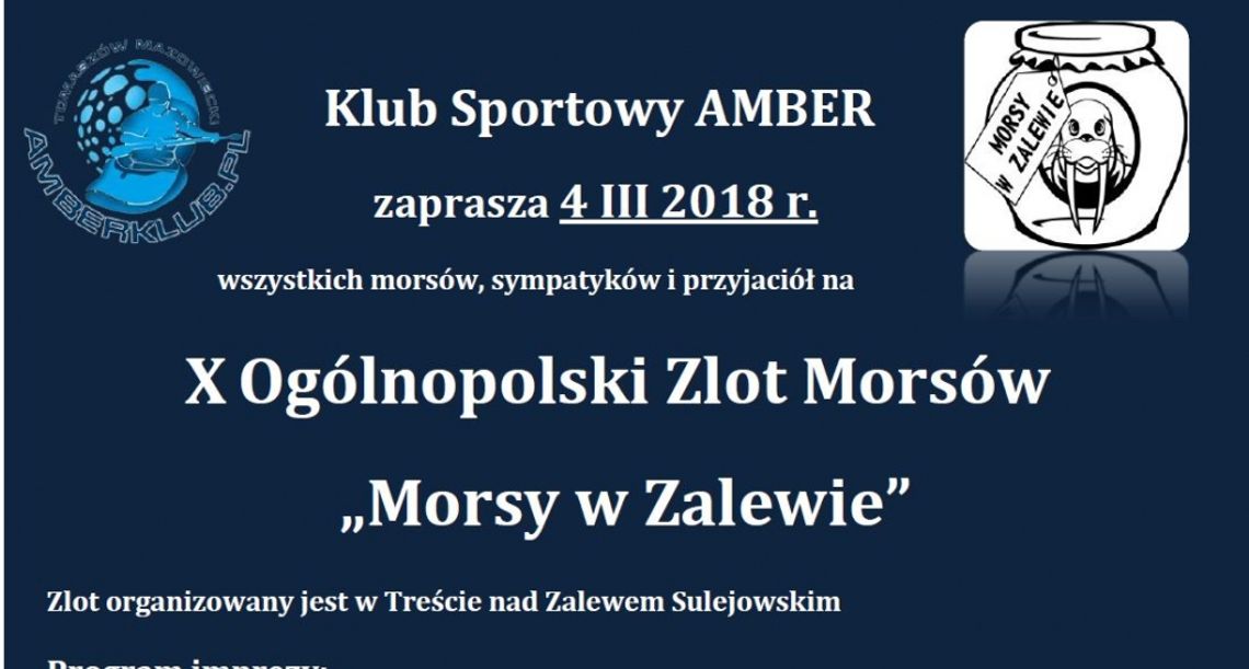 Morsy raz jeszcze w Zalewie Morsy raz jeszcze w Zalewie