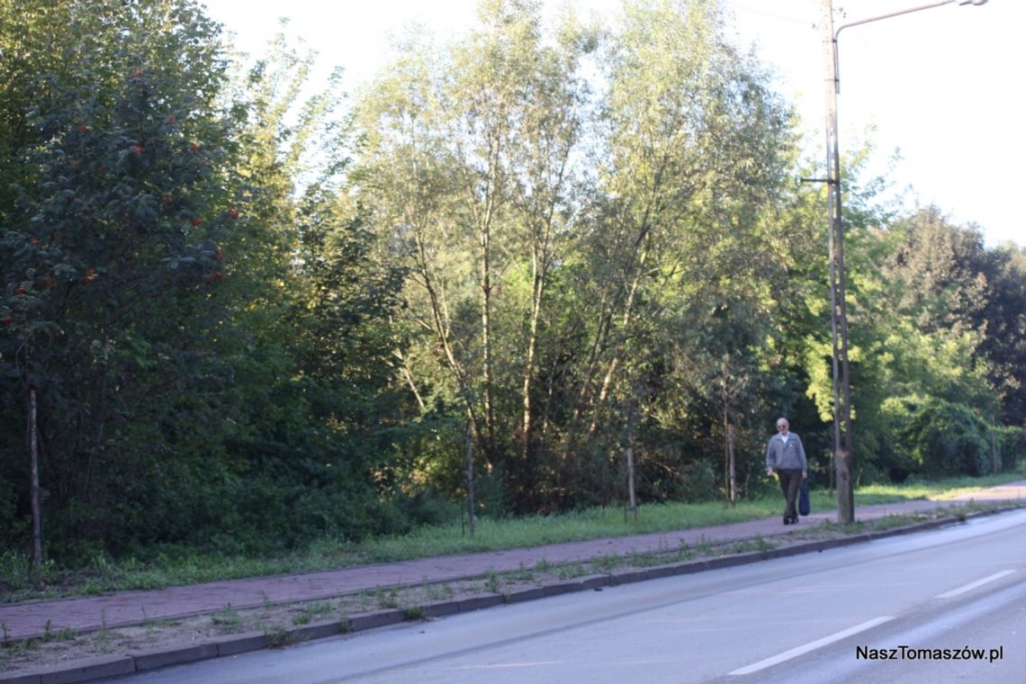 Może i jest w tym jakaś logika Może i jest w tym jakaś logika