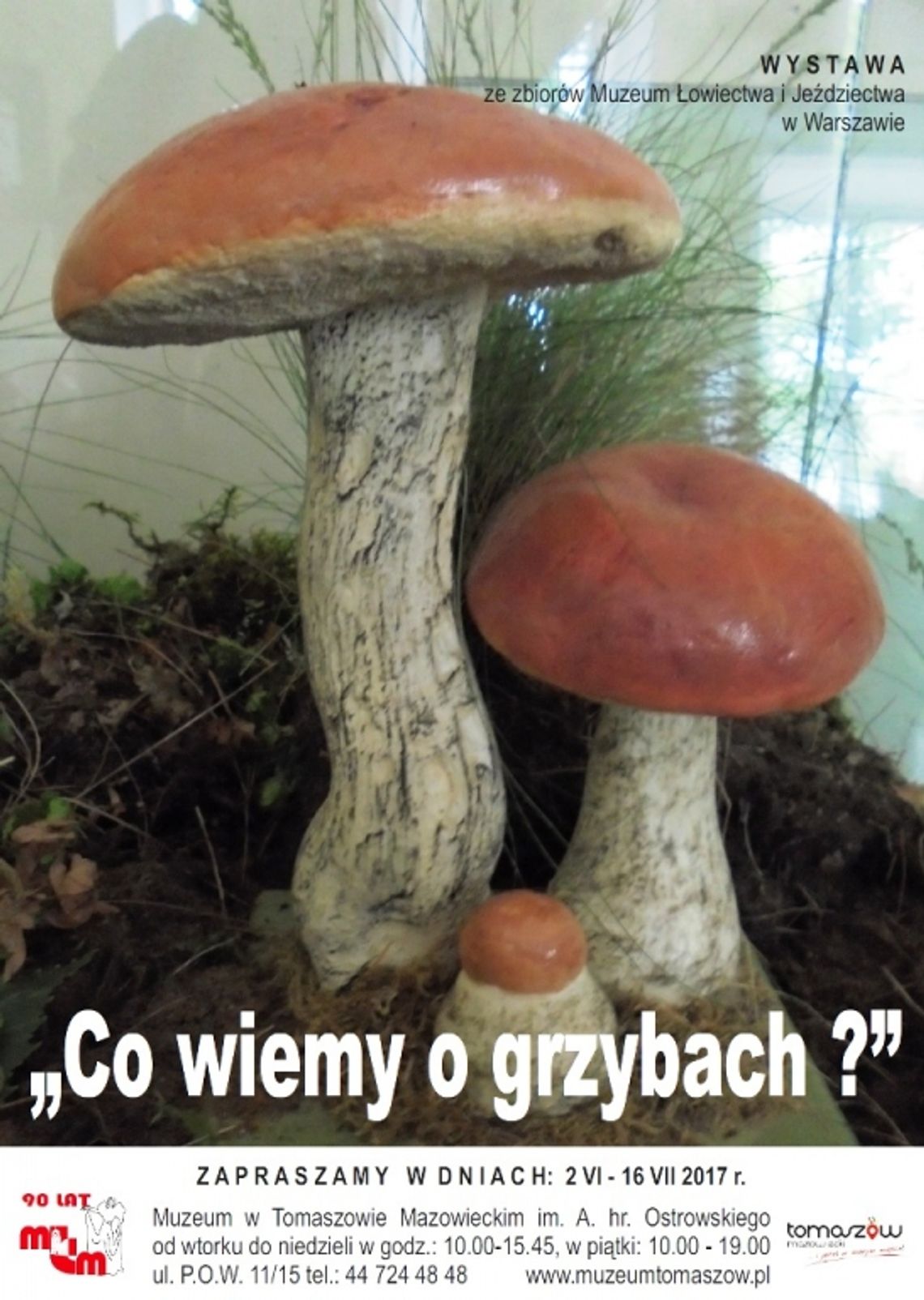 Muzealne grzybobranie