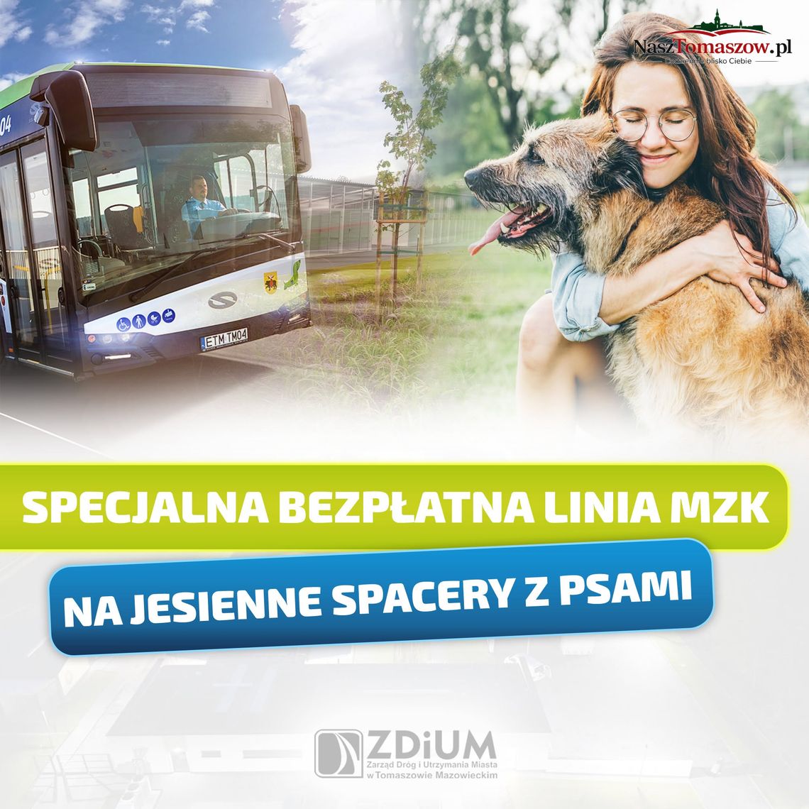 MZK uruchamia bezpłatną linię do „Puszka Okruszka”. W weekend można pojechać na spacer z psiakiem MZK uruchamia bezpłatną linię do „Puszka Okruszka”. W weekend można pojechać na spacer z psiakiem