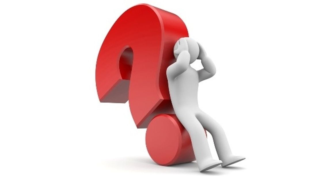 Na jaki komitet oddasz swój głos?