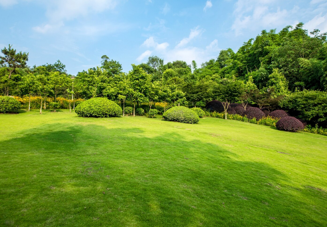 Na jaki styl ogrodu się zdecydować? Poznaj trendy w 2025 roku