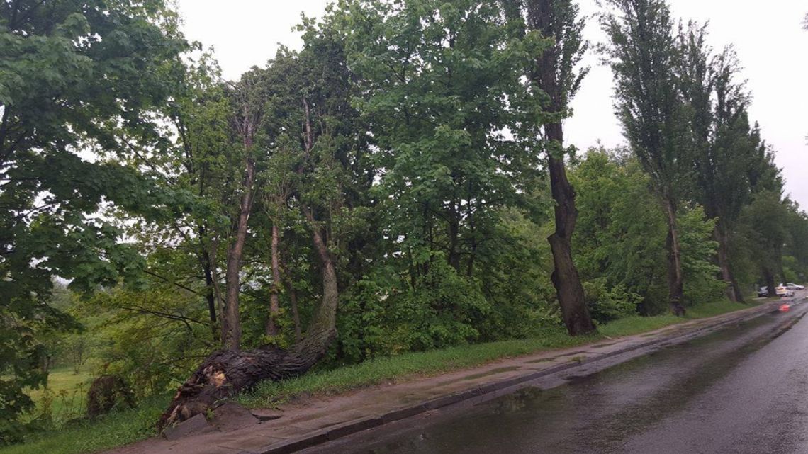 Na szczęście nikomu nic się nie stało