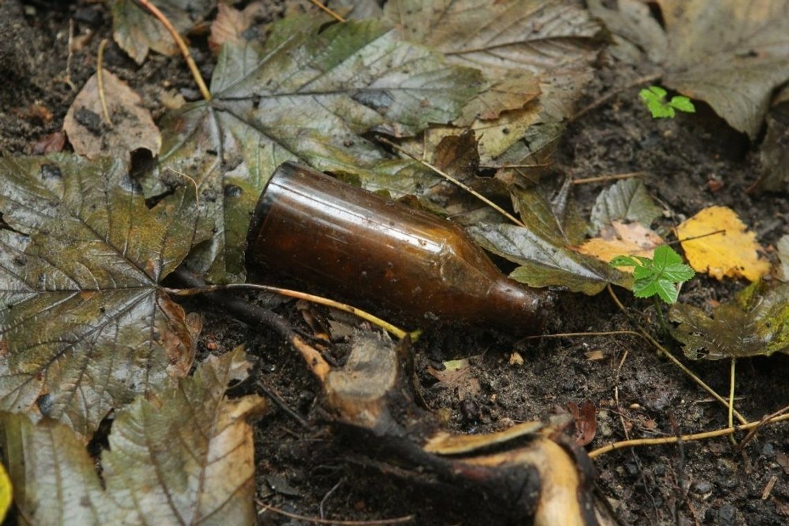 Naukowcy: wyrzucane przez ludzi puszki i butelki stają się pułapkami dla zwierząt