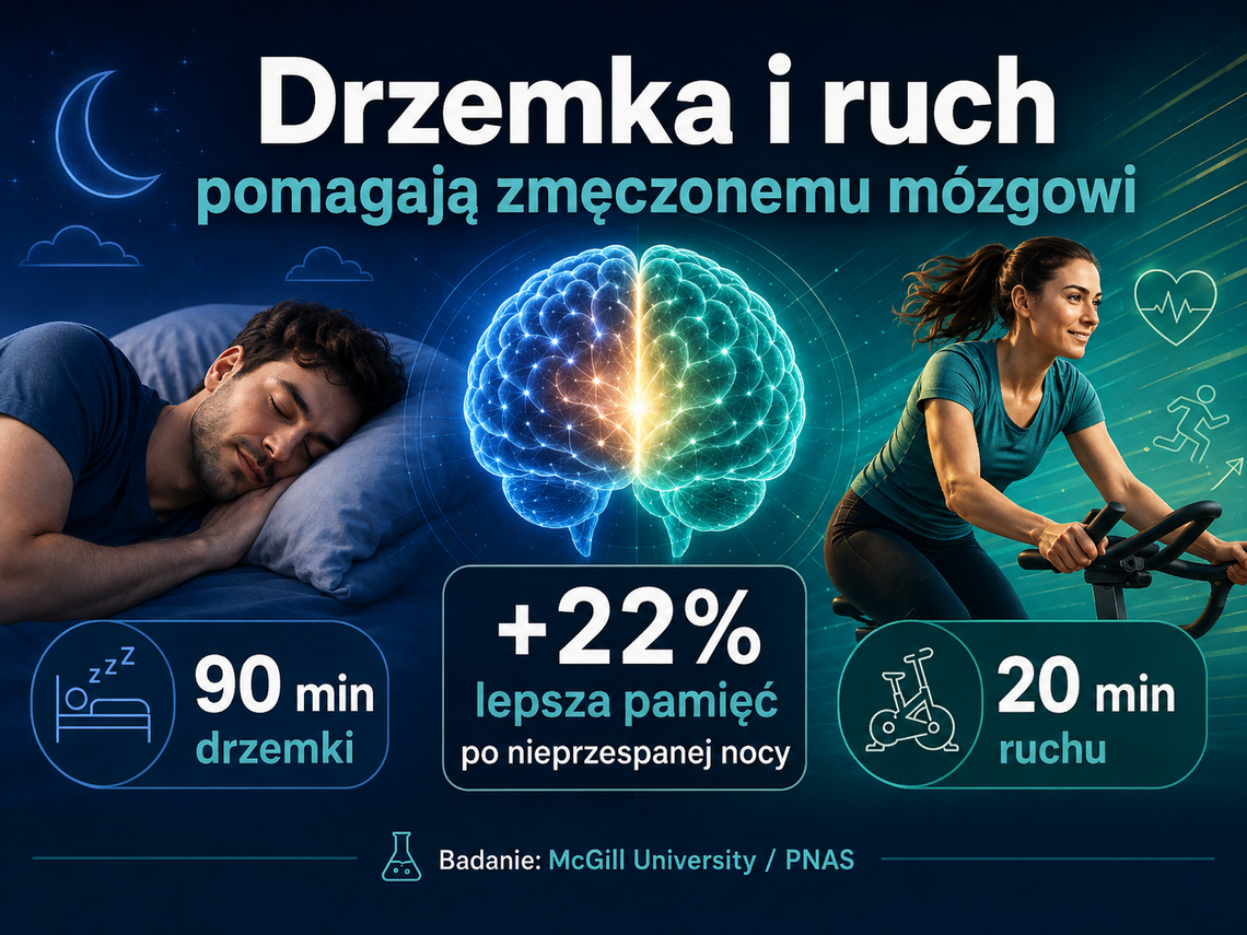 Nie spałeś całą noc? 20 minut ruchu może pomóc mózgowi niemal tak jak 90-minutowa drzemka