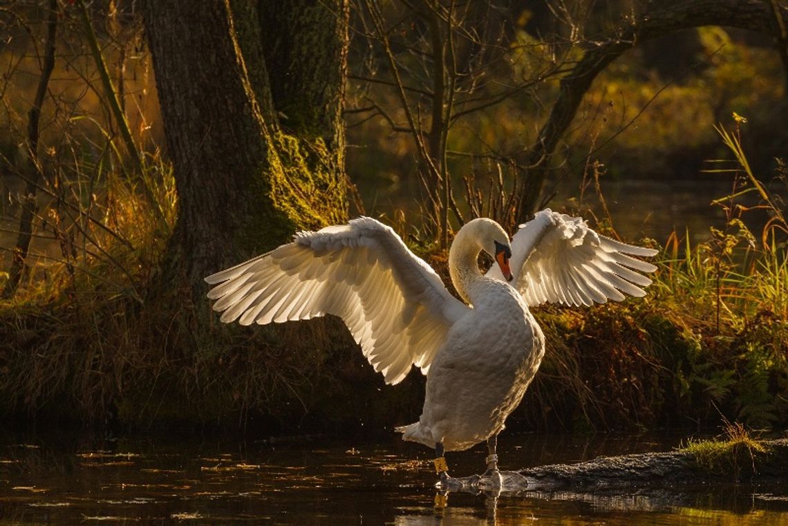Niebieskie Źródła - spacer o każdej porze roku