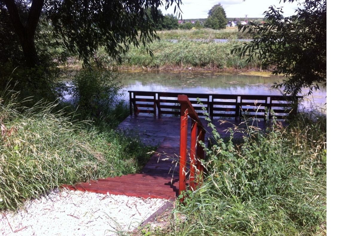 Nieco inna rewitalizacja Nieco inna rewitalizacja