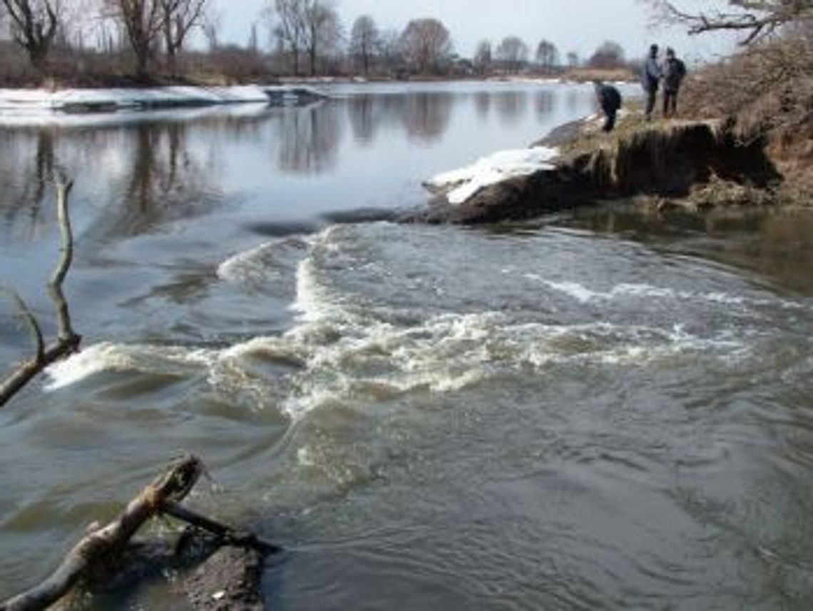 Niewinny ostatecznie Niewinny ostatecznie