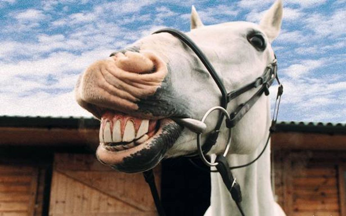 No to sobie pożartujemy