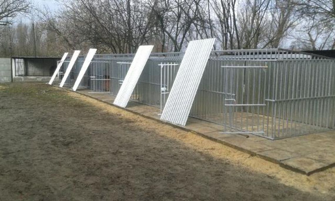 Nowe klatki, zamiast nowego schroniska