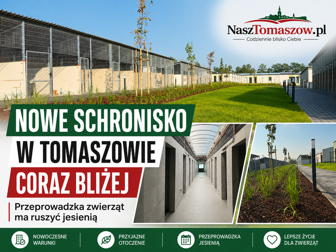 Nowe schronisko w Tomaszowie coraz bliżej. Przeprowadzka zwierząt ma ruszyć jesienią Nowe schronisko w Tomaszowie coraz bliżej. Przeprowadzka zwierząt ma ruszyć jesienią