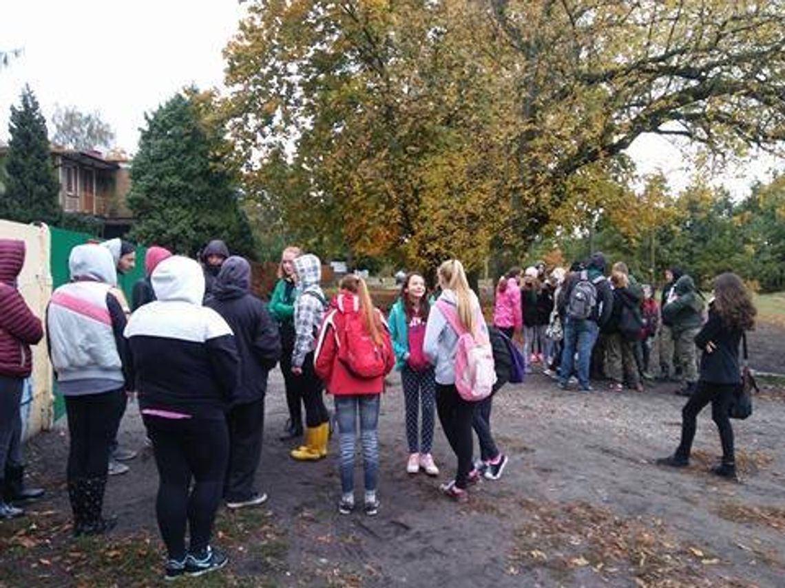 Nu pagadi! Konflikt, który nikomu nie służy