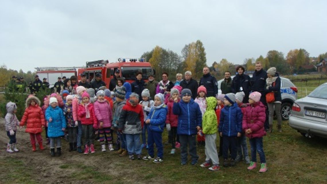 O bezpieczeństwie w ośrodku hipoterapii