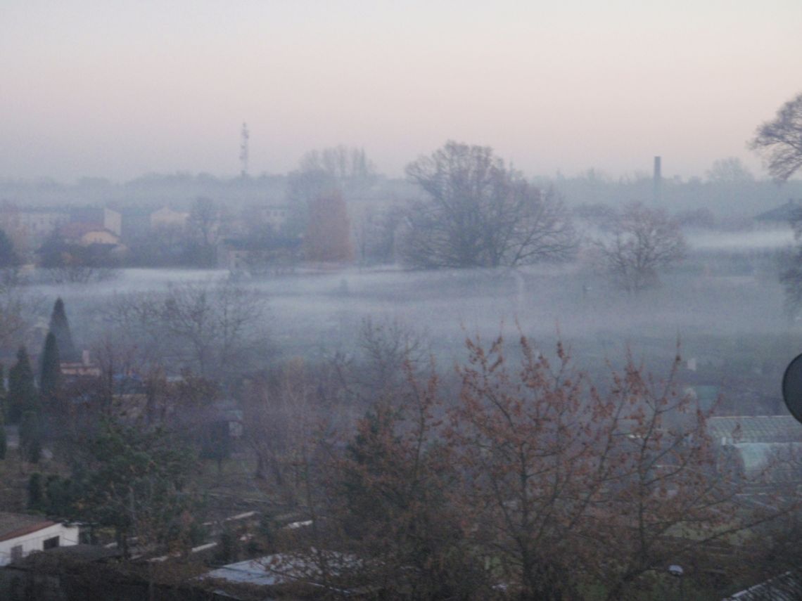 O trujących działkowcach raz jeszcze