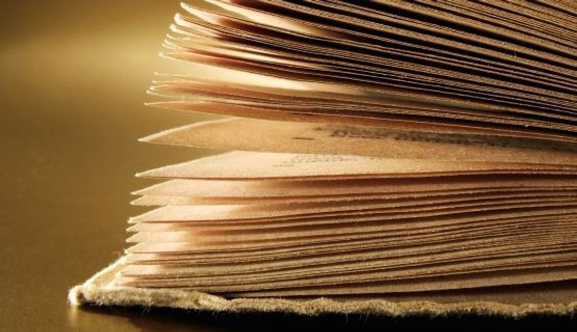 Odpisy z KRS za darmo przez internet!