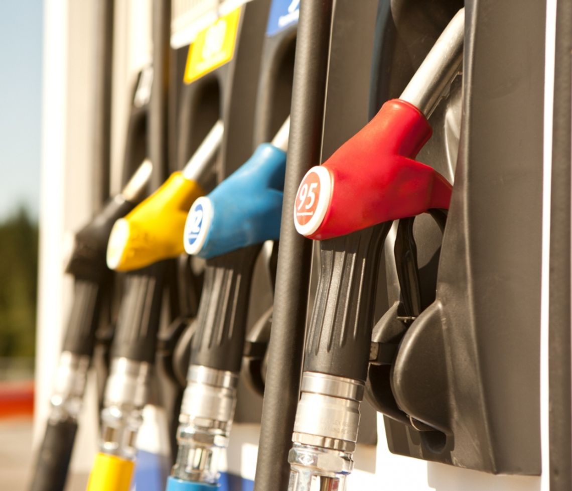 Opłaty środowiskowe - co warto o nich wiedzieć?