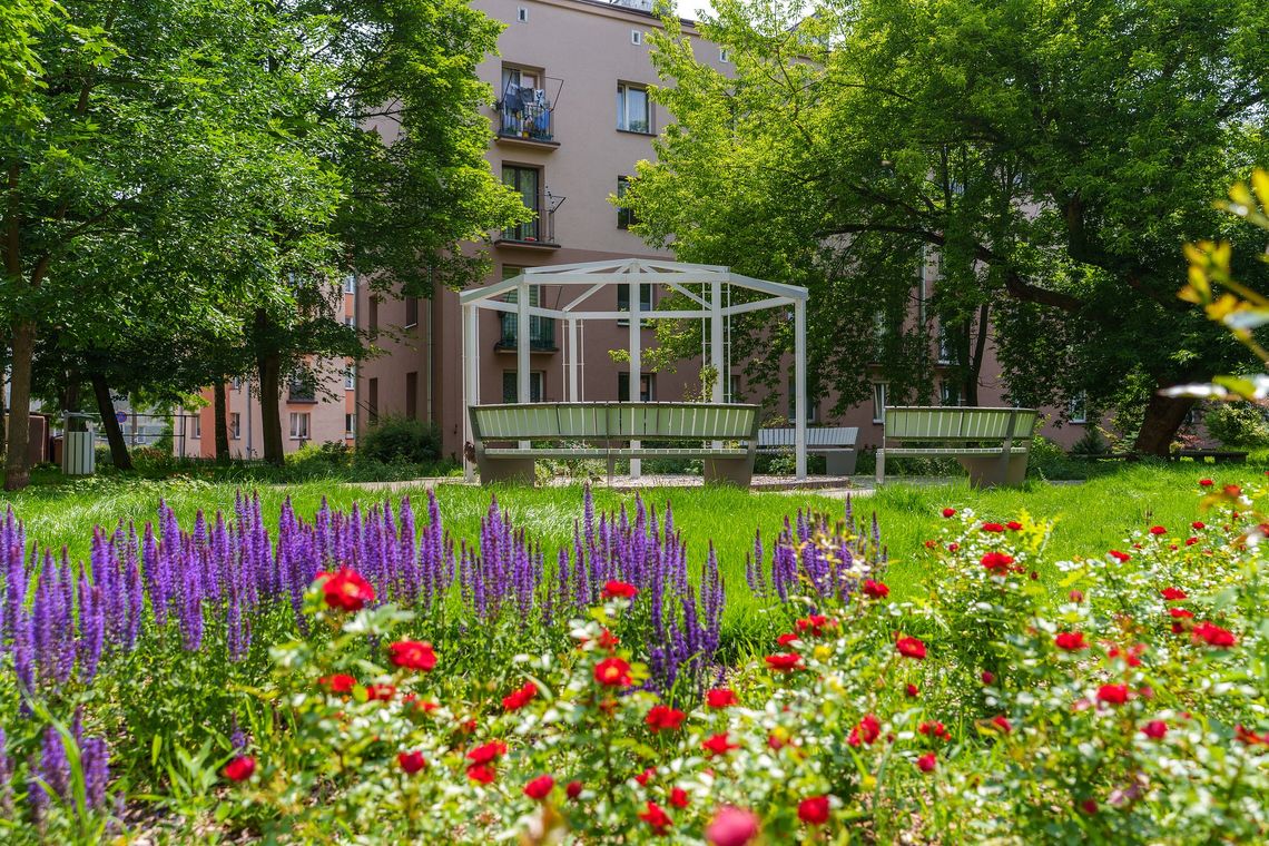 Park Różany powstał na  ul. Zagajnikowej i Akacjowej