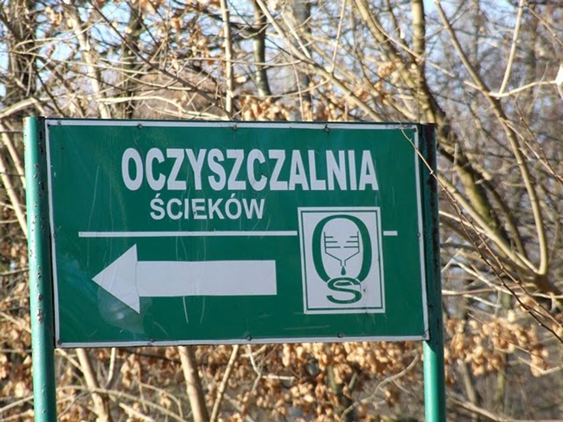 Pełni optymizmu