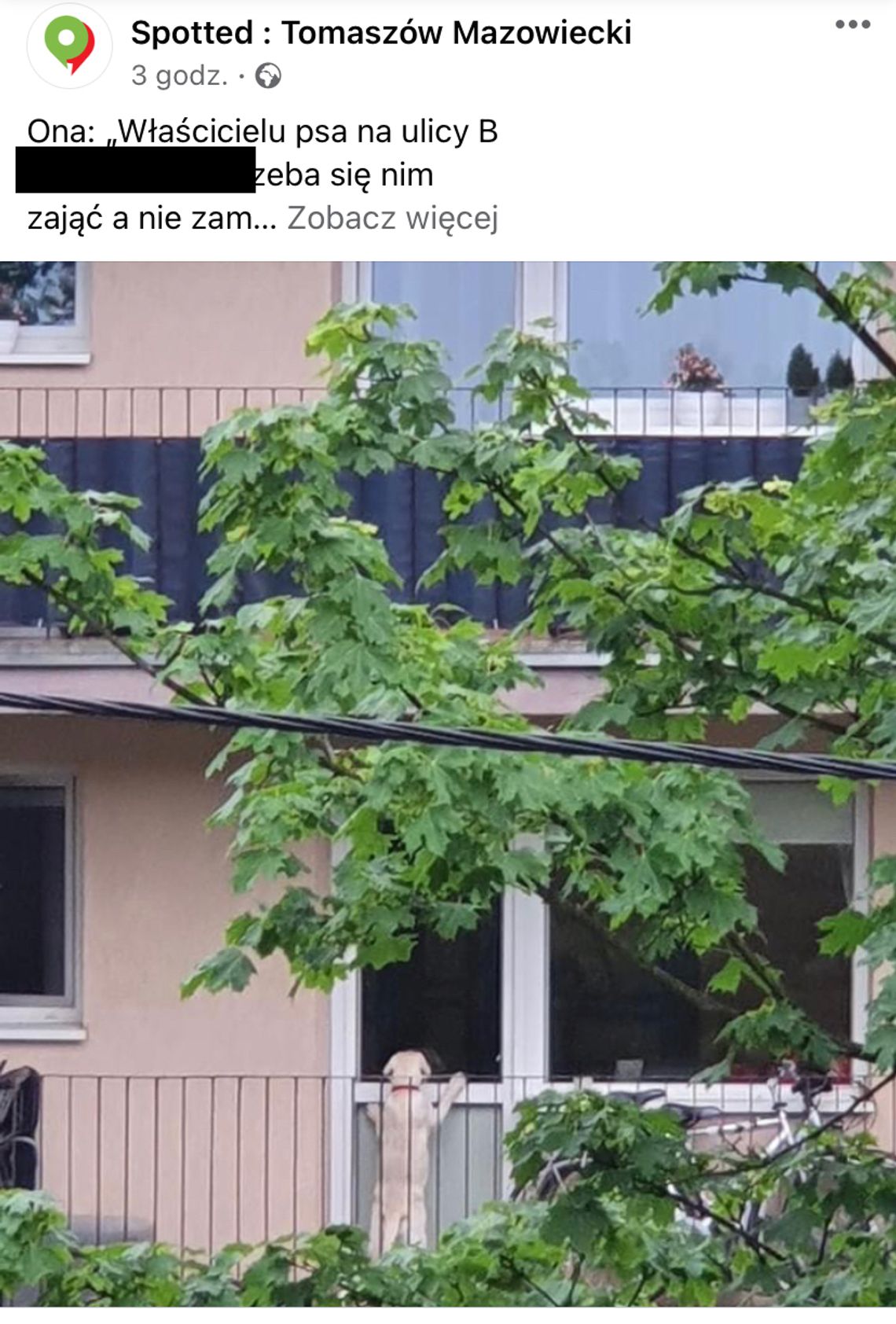 Pies miał być zamykany na balkonie. Zamiast zgłosić służbom… post na Facebooku. 