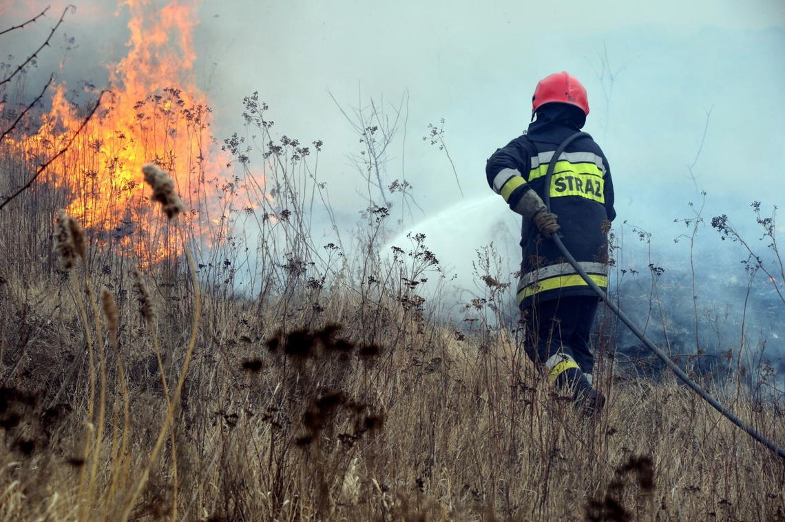 Płoną trawy. Tomaszowscy strażacy co roku mają co robić