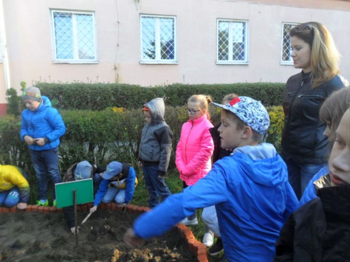 &quot;Pola Nadziei&quot; na Stolarskiej