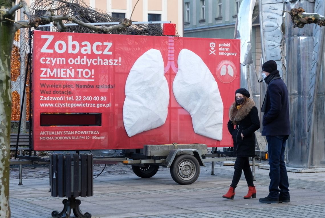 Polski Alarm Smogowy ustawi „oddychające płuca” w 40 miastach