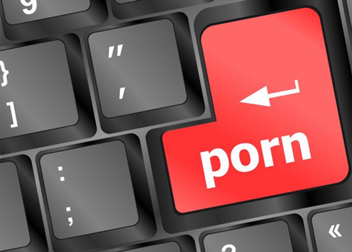 Pornografia w Kancelarii