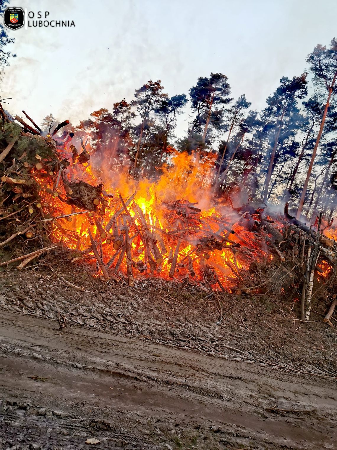 Pożar mógł się rozprzestrzenić