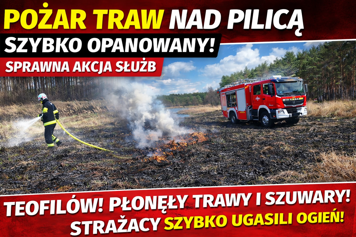 Pożar traw nad Pilicą szybko opanowany. Sprawna akcja służb