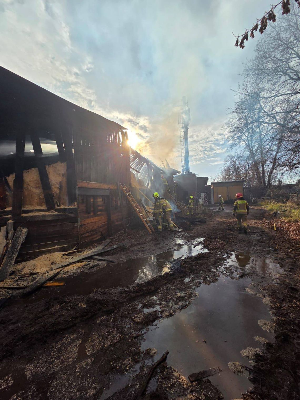 Prokuratura bada pożar w Tartomie. Ogień objął magazyn trocin przy Białobrzeskiej Prokuratura bada pożar w Tartomie. Ogień objął magazyn trocin przy Białobrzeskiej