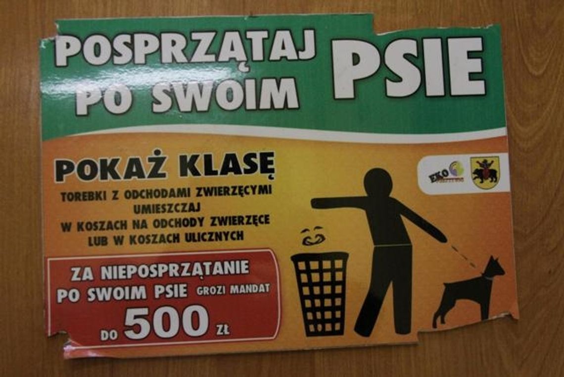 Przejaw zwyczajnej głupoty