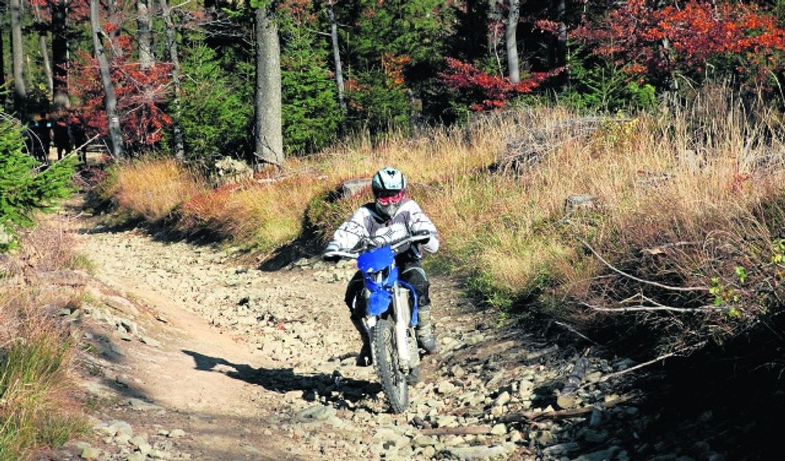 Przyjemność bezrefleksyjna Przyjemność bezrefleksyjna