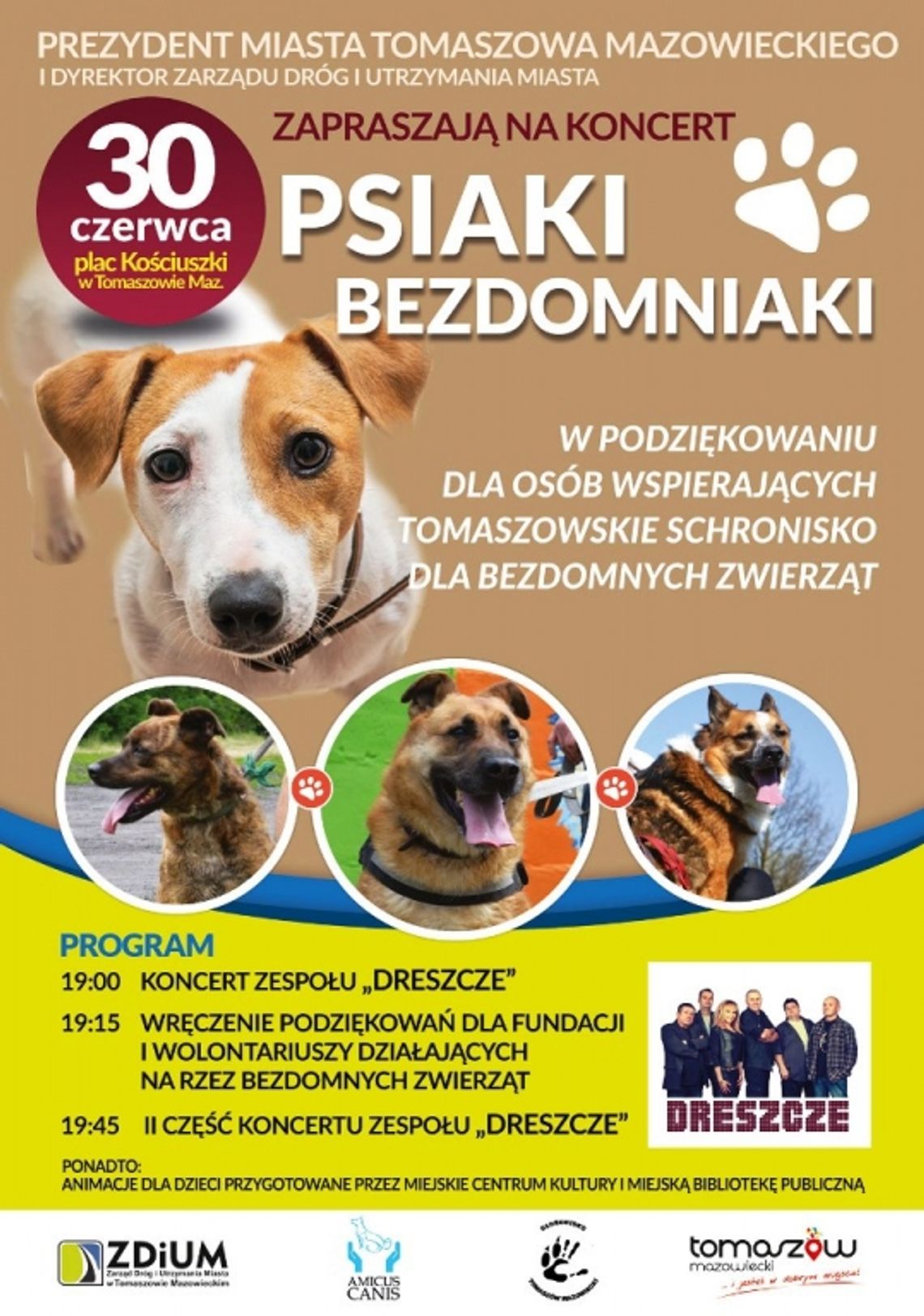 „Psiaki bezdomniaki”. Festyn na pl. Kościuszki