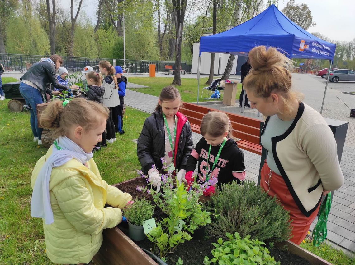 „Pszczoła lata koło kwiata”