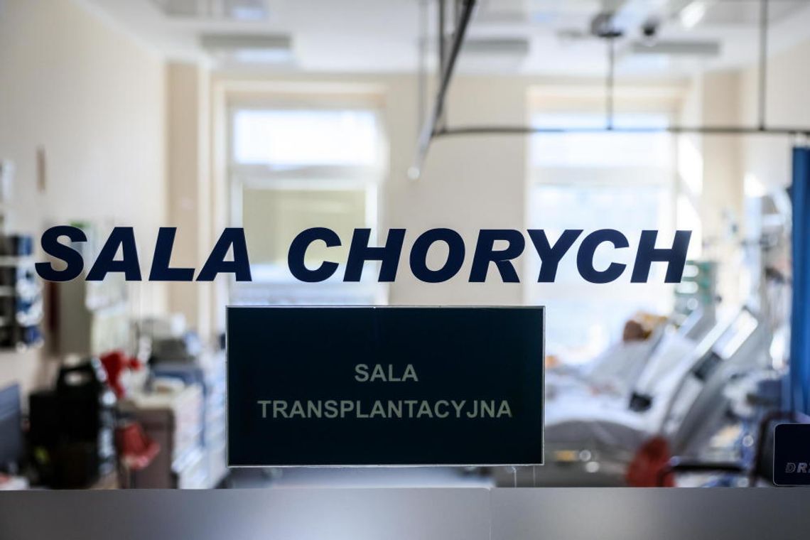 Rekordowa liczba przeszczepów narządów w Polsce w 2023 r. Rekordowa liczba przeszczepów narządów w Polsce w 2023 r.