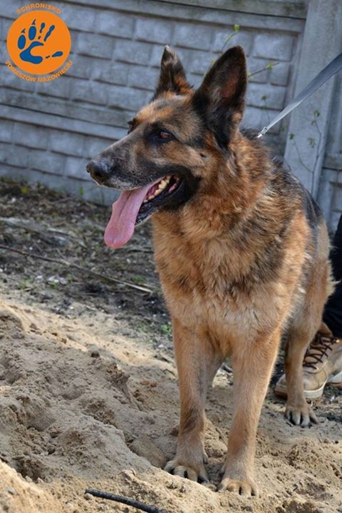 Rodzina pilnie poszukiwana Rodzina pilnie poszukiwana