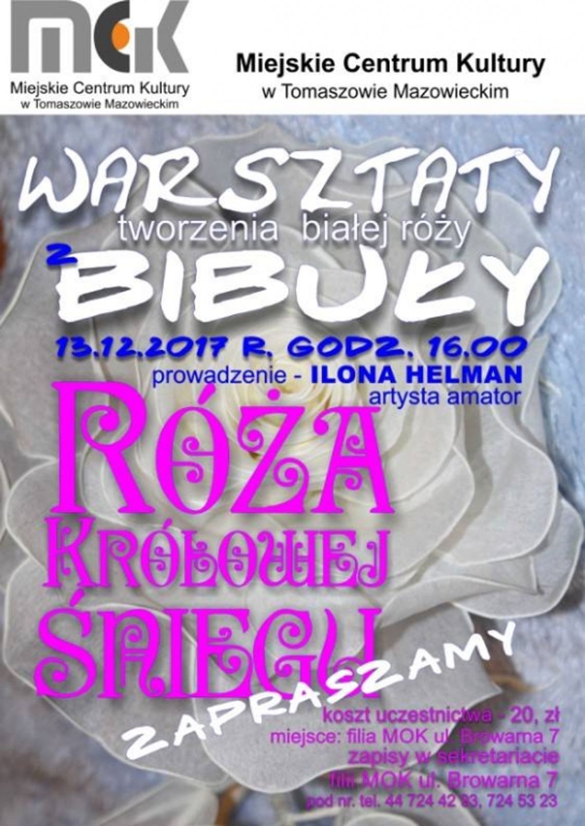 Róża Królowej Śniegu Róża Królowej Śniegu