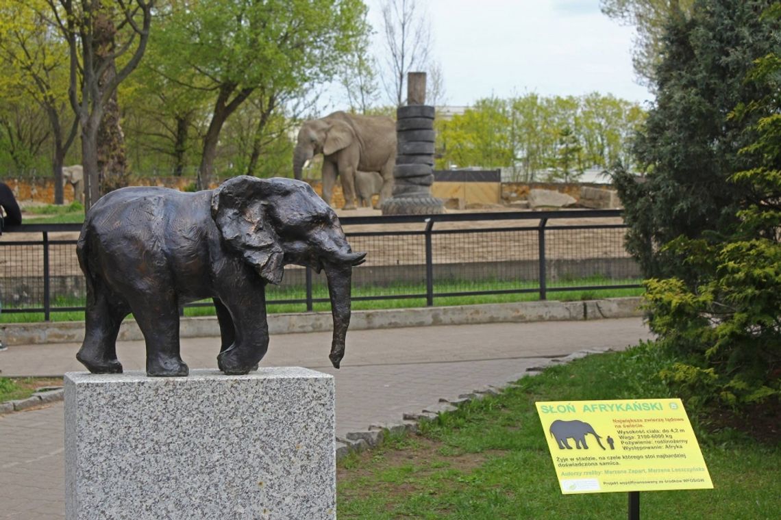 Rzeźby zwierząt autorstwa uczniów ZSP nr 6 w warszawskim zoo!