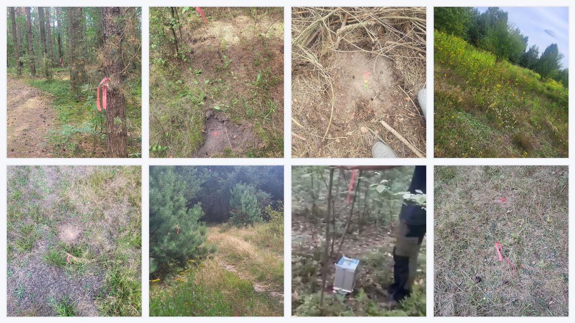 S12 jednak na południu?