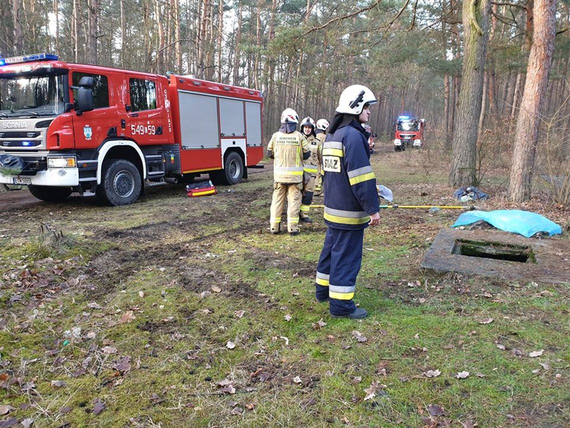 Sarny uratować się nie udało