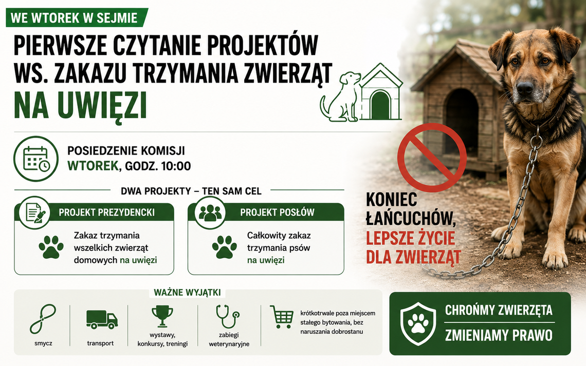 Sejmowa komisja rozpatrzy zakaz łańcuchów i nowe zasady dla kojców dla psów. Co przewidują trzy projekty?