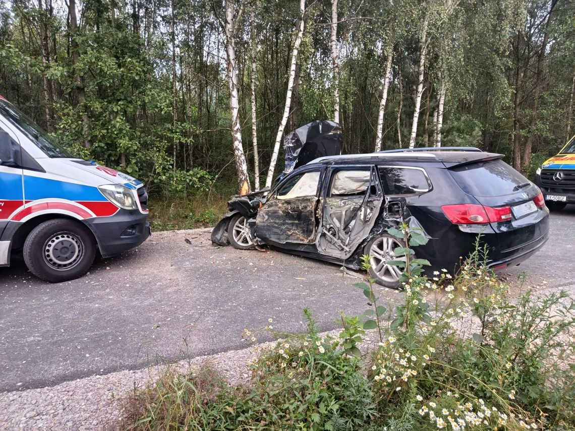 Seria interwencji strażaków w powiecie opoczyńskim. Pożary, wypadki i zerwane linie