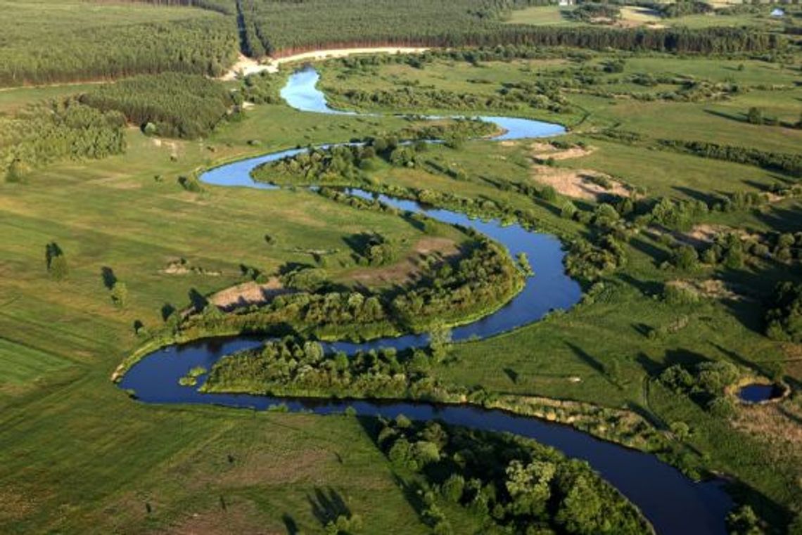 Skonsultuj strategię