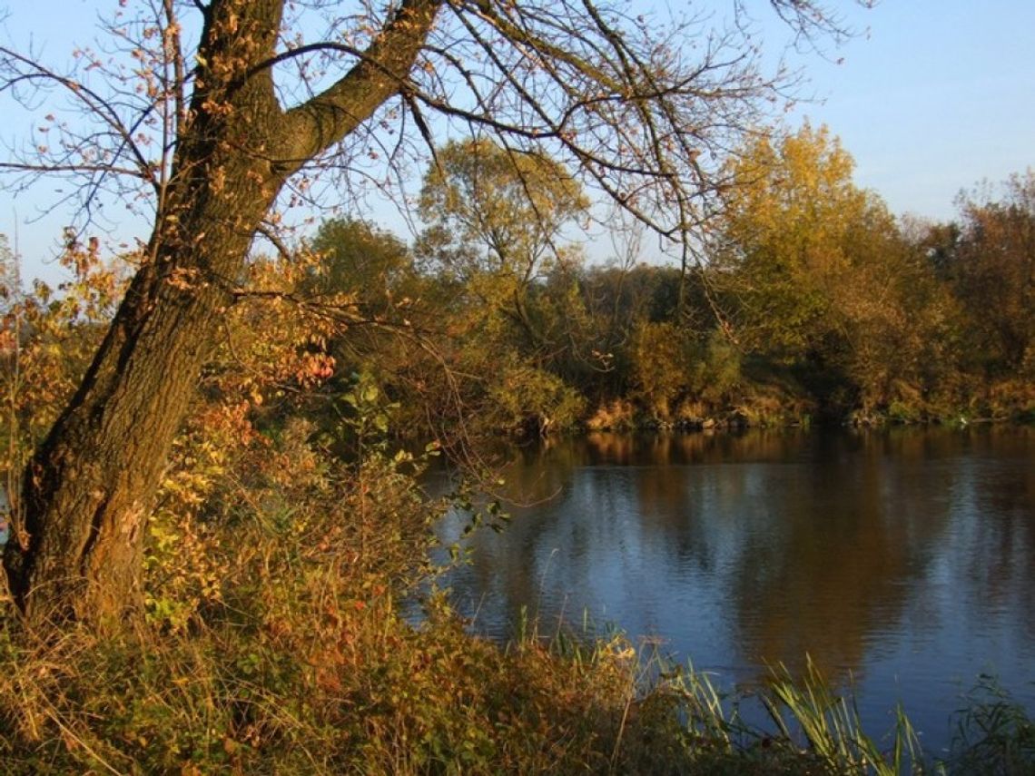 Stowarzyszenie Dolina Pilicy zaprasza