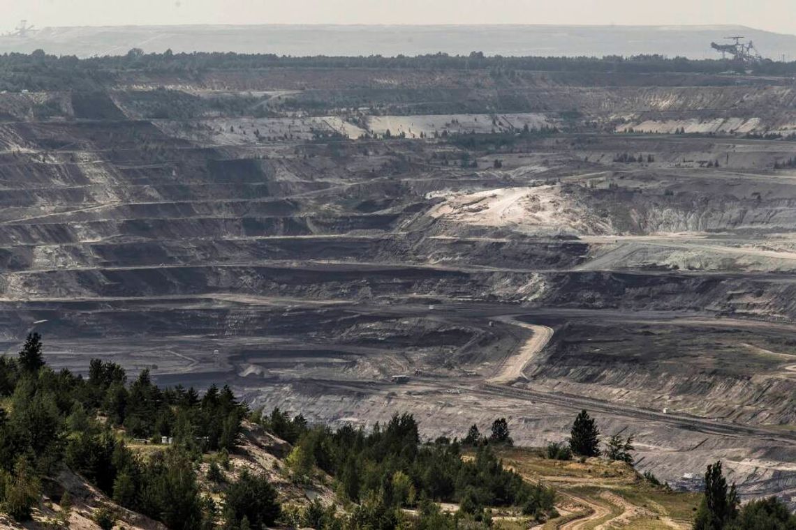 Szczątki krokodyla sprzed 17 mln lat odnaleziono na terenie kopalni „Bełchatów”